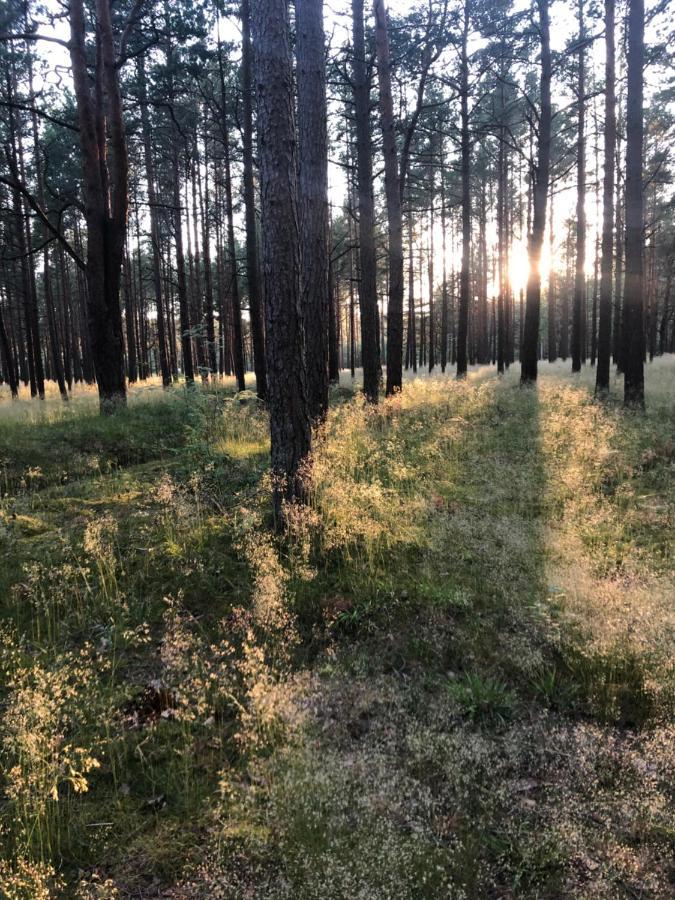Apartmán Juros Brizas Palanga Exteriér fotografie