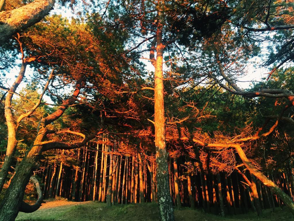 Apartmán Juros Brizas Palanga Exteriér fotografie