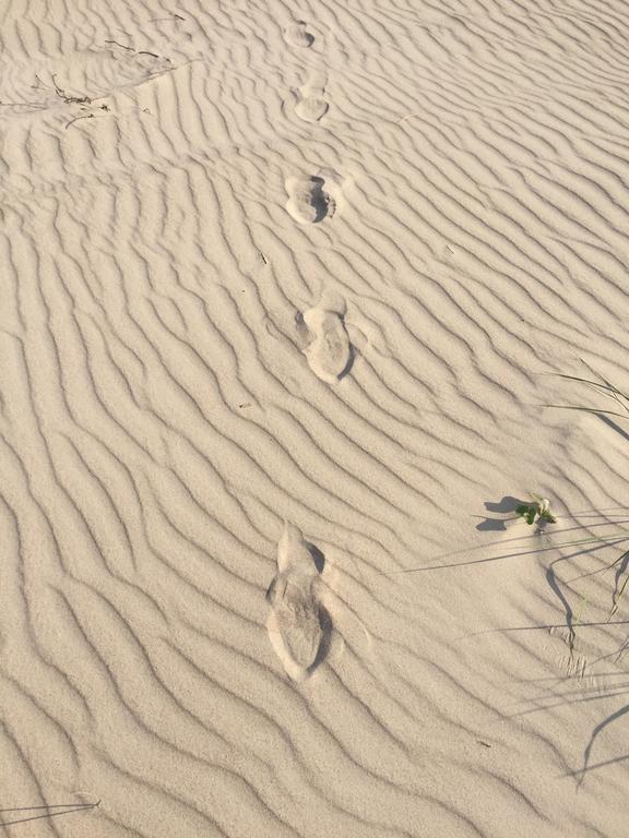 Apartmán Juros Brizas Palanga Exteriér fotografie